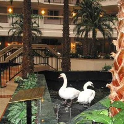 фото отеля Embassy Suites Hotel Houston-Near The Galleria