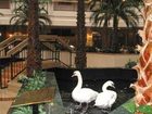 фото отеля Embassy Suites Hotel Houston-Near The Galleria