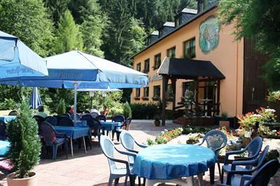 фото отеля Waldhotel Landgasthof Albachmuhle
