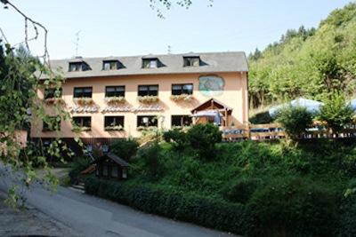 фото отеля Waldhotel Landgasthof Albachmuhle