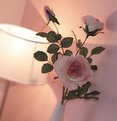 фото отеля Junipers Bed and Breakfast Firsdown