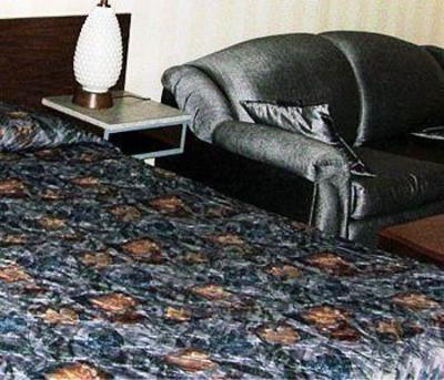 фото отеля Springs Motor Inn