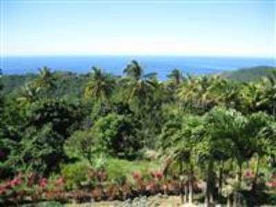 фото отеля Mrs Robinson Cottage Rentals Roseau (Dominica)