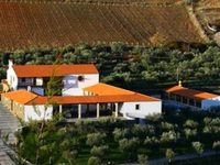 Valonquinta Agricultura E Turismo De Vila Flor