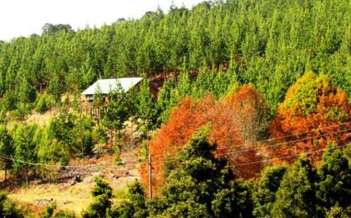 фото отеля Stanford Lake lodge