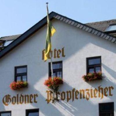 фото отеля Hotel Goldener Pfropfenzieher