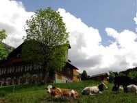 Mountain Hotel Zaluna