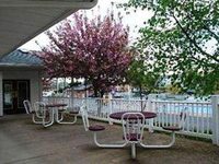 Cool Harbor Motel