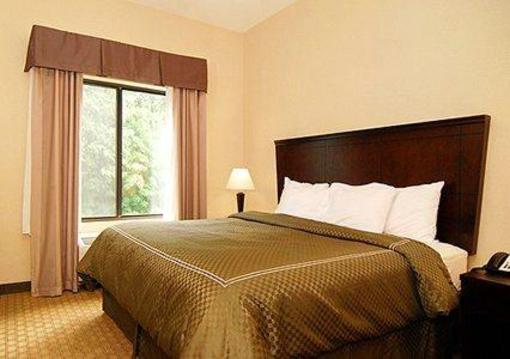 фото отеля Comfort Suites Vestal