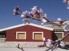 фото отеля Casa Ruiz