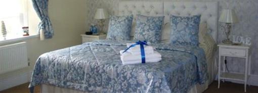 фото отеля The Cleveland Bed and Breakfast Torquay