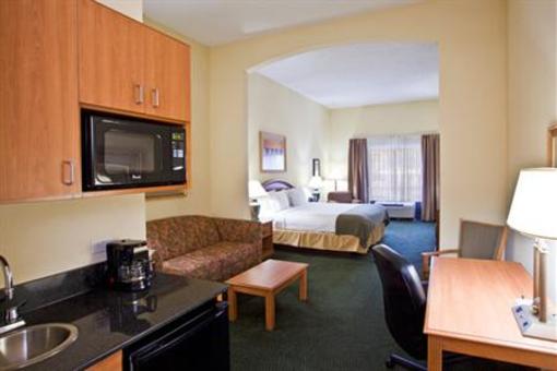 фото отеля Holiday Inn Express Hotel & Suites Tampa-Anderson