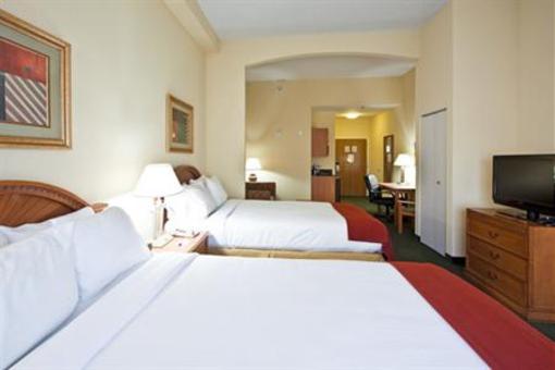 фото отеля Holiday Inn Express Hotel & Suites Tampa-Anderson