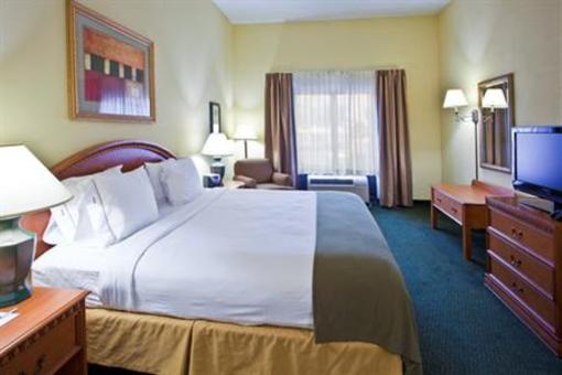 фото отеля Holiday Inn Express Hotel & Suites Tampa-Anderson