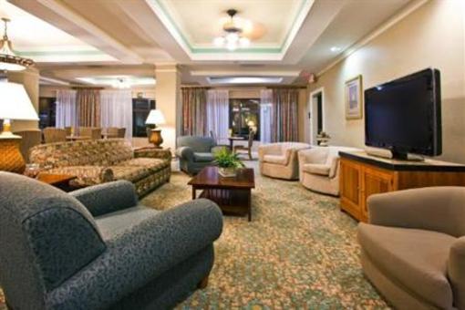 фото отеля Holiday Inn Express Hotel & Suites Tampa-Anderson