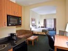 фото отеля Holiday Inn Express Hotel & Suites Tampa-Anderson