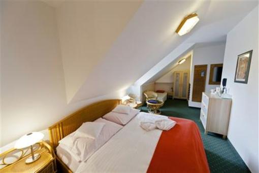 фото отеля Hotel Maxant