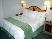 Surya Shelter Hotel New Delhi