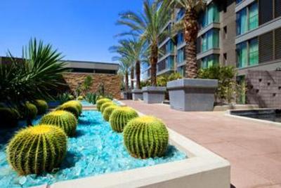 фото отеля W Scottsdale