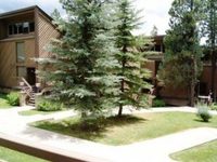Tamarron Resort Durango