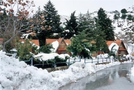 фото отеля Rimonim Hermon Holiday Village