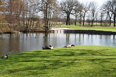 фото отеля Hotel Schloss Westerholt Herten