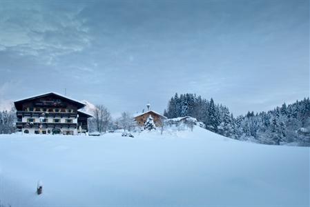 фото отеля Seebichl Hotel
