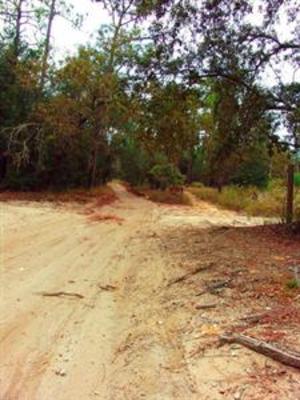 фото отеля Hampton Inn Brooksville / Dade City