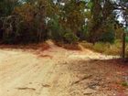 фото отеля Hampton Inn Brooksville / Dade City