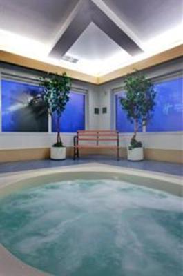 фото отеля Holiday Inn Express Hotel & Suites Edmonton at the Mall