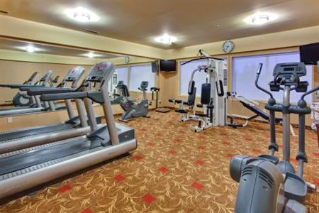 фото отеля Holiday Inn Express Hotel & Suites Edmonton at the Mall