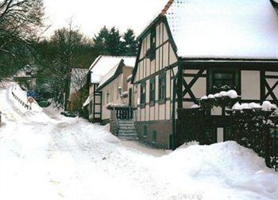 фото отеля Hotel Zum Burgergarten Stolberg (Saxony-Anhalt)