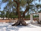 фото отеля La Corte Dei Trulli