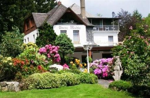 фото отеля Waldhotel Obere Muhle