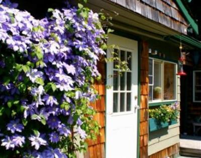 фото отеля Fernwood Cottage Bed and Breakfast