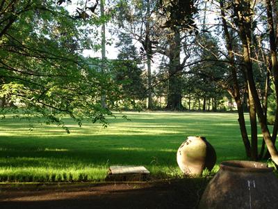 фото отеля Hacienda Los Lingues