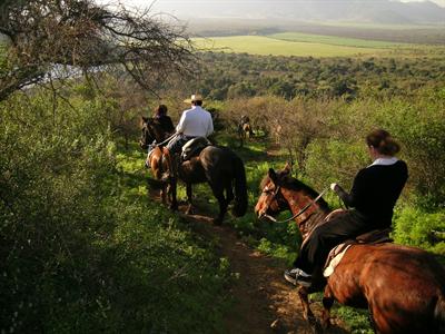 фото отеля Hacienda Los Lingues