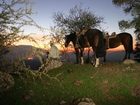 фото отеля Hacienda Los Lingues