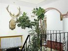 фото отеля Hotel Garni Kardona