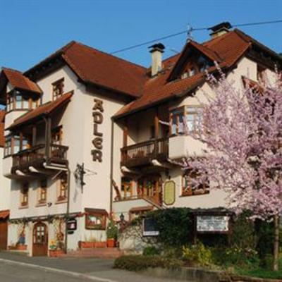 фото отеля Hotel Adler Lauda-Konigshofen
