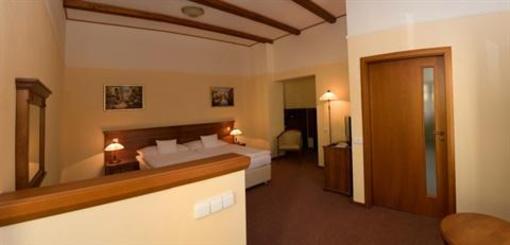 фото отеля Wellness Hotel Ida