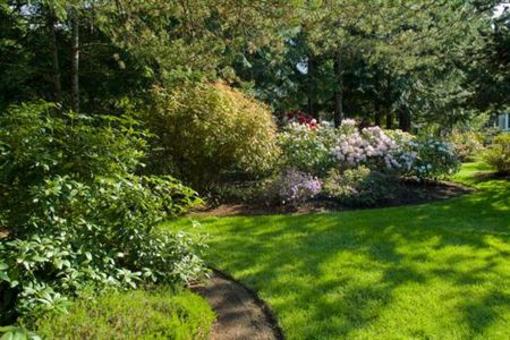 фото отеля Whitley House B&B