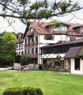 фото отеля Chestnut Mountain Resort