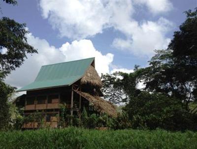 фото отеля Cotton Tree Lodge