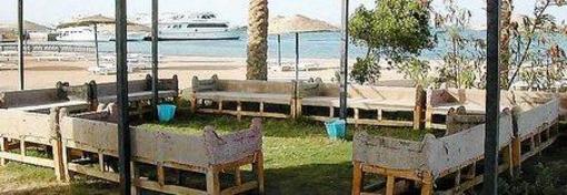 фото отеля Hurghada Pharaoh Club