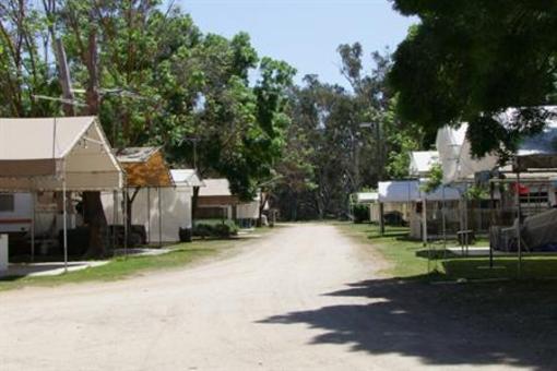 фото отеля Bindaree Motel and Caravan Park