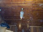 фото отеля La Maison du Bassin