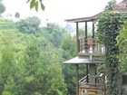 фото отеля The Green Forest Resort