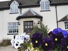 фото отеля Angel House Bed and Breakfast Ludlow (England)