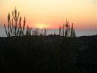 фото отеля Le Rondini Di San Bartolo